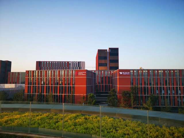 高青赛事活动服务