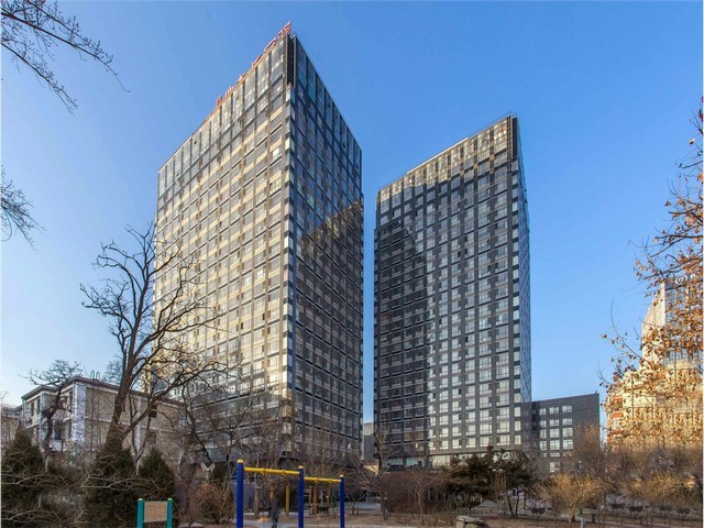 曲靖一代花魔芋种子报价